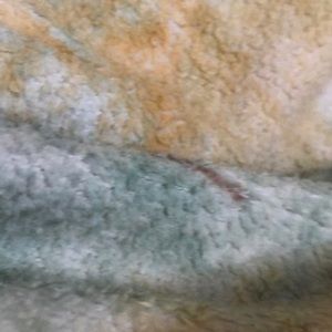 Meet your Posher, Keesha